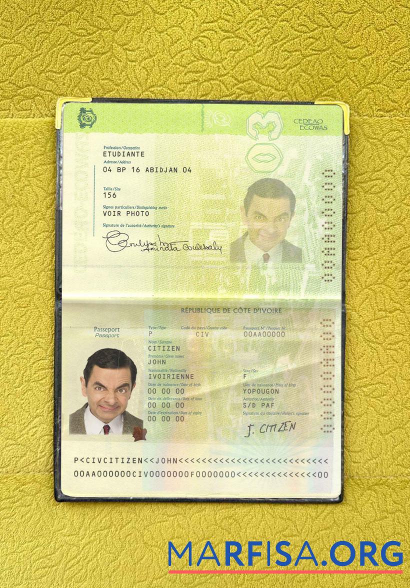 Downloadable Cote D'lvoire passport photo look sample